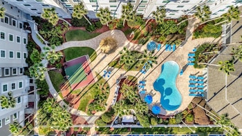 8303 palm disney