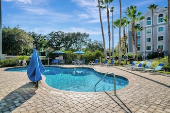 8303 palm disney