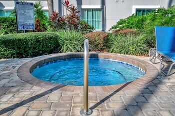 8303 palm disney