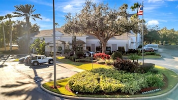 8303 palm disney