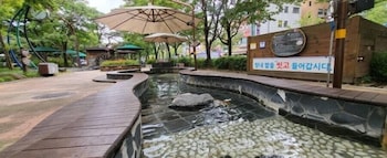 Brown Dot Hot Spring Yu-Seong,,3 star