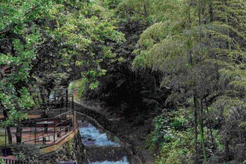 tonglu tiankong miling homestay