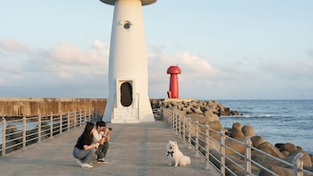 Beautiful Sea Pet-Frie Pension, Yangyang,,3 star