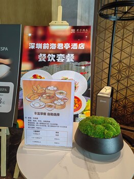 ssaw hotel shenzhen qianhai nantou ancient town
