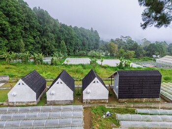 baturiti