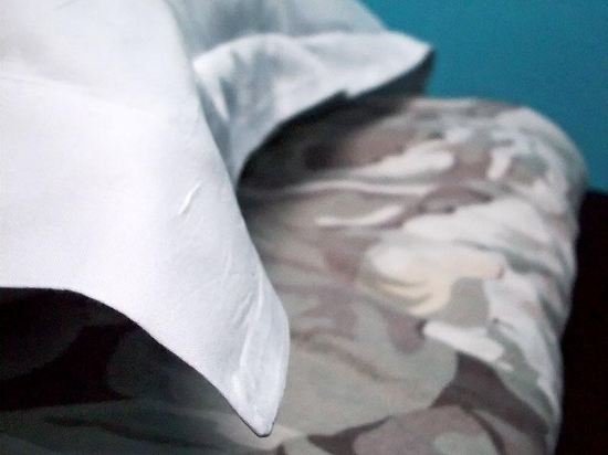 amsterdam hostel orfeo