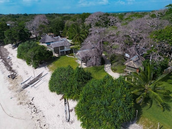 coral cove diani treehouses