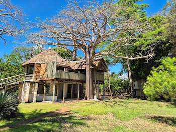 coral cove diani treehouses