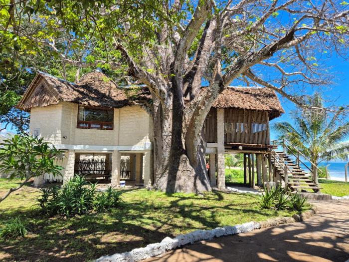 coral cove diani treehouses