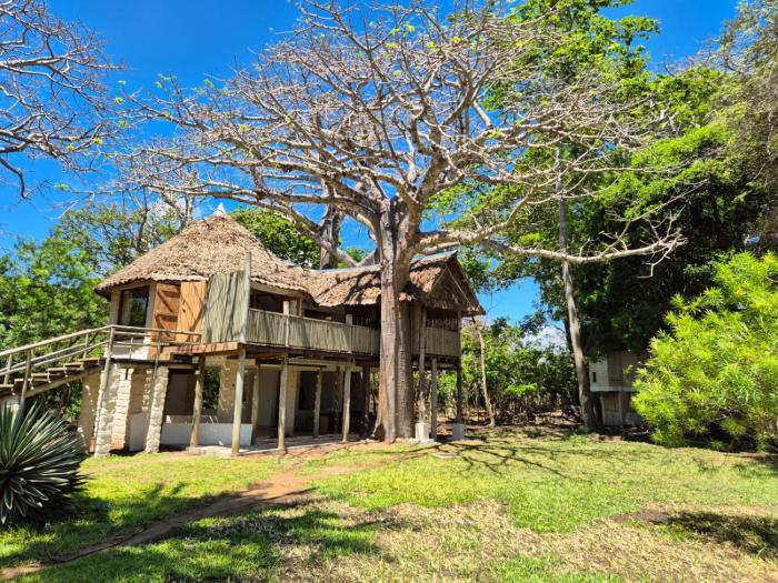 coral cove diani treehouses