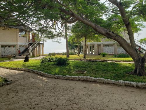 coral cove diani treehouses