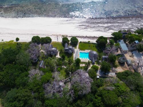 coral cove diani treehouses