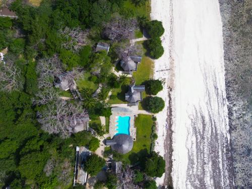 coral cove diani treehouses