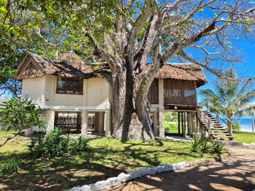 coral cove diani treehouses