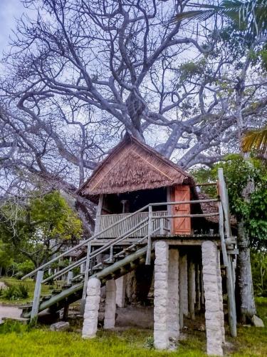 coral cove diani treehouses
