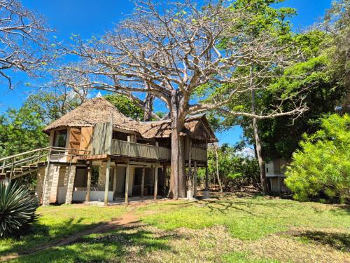 coral cove diani treehouses