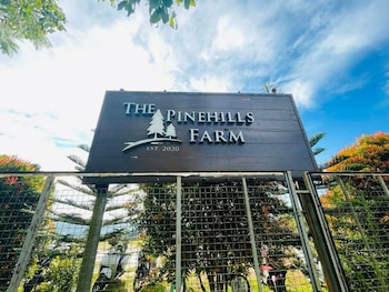 1193 pinehall farm rizal