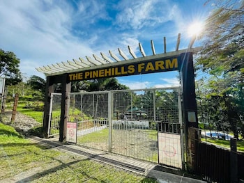 1193 pinehall farm rizal