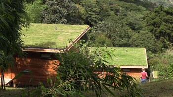 boquete cloud forest lodge