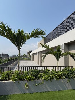 the bantree