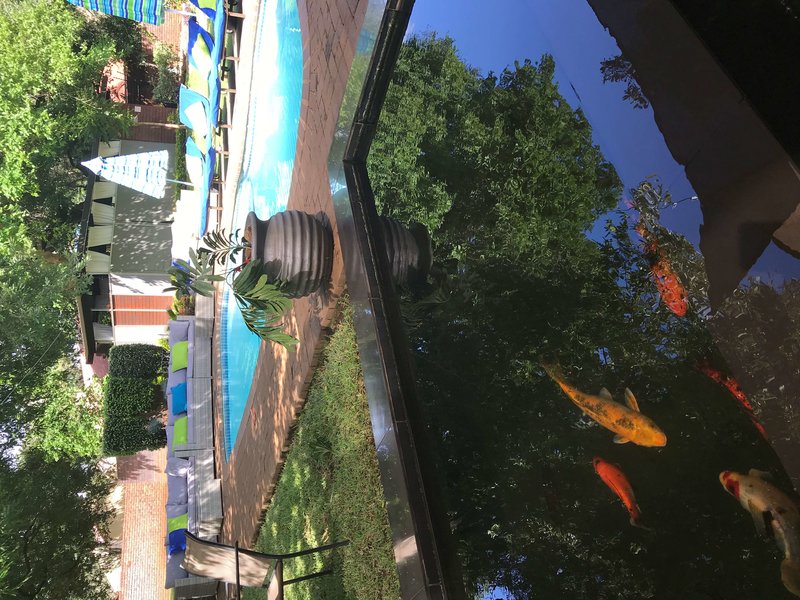 ecolux boutique hotel