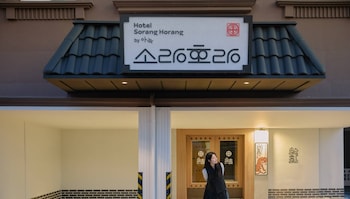 gangneung sorang horang hotel by anook