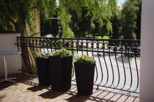 moon garden boutique hotel