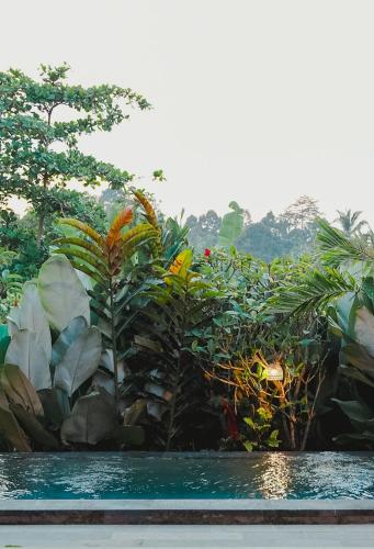 sebatu