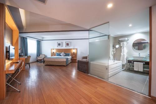 mcg hotels thermal spa convention center