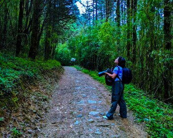 yangsum village homestay