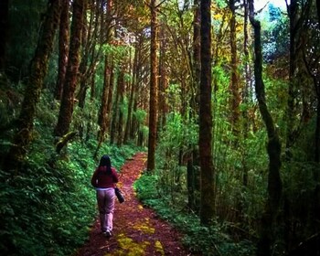 yangsum village homestay