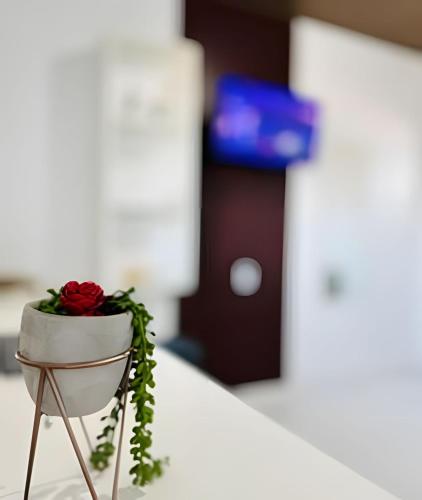 apartamentos vitoria
