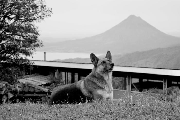 vista verde lodge