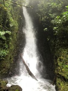vista verde lodge