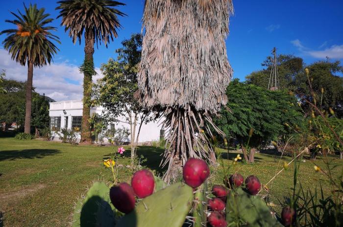 finca historica los algarrobos