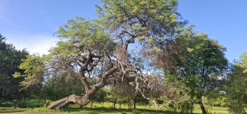 finca historica los algarrobos