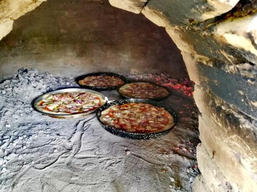 finca historica los algarrobos