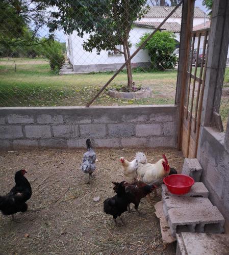 finca historica los algarrobos