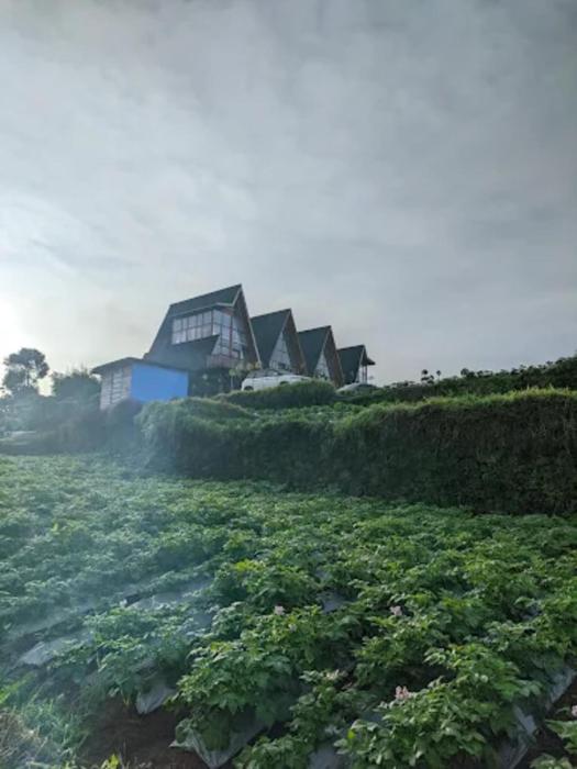 padangsari cabin 2