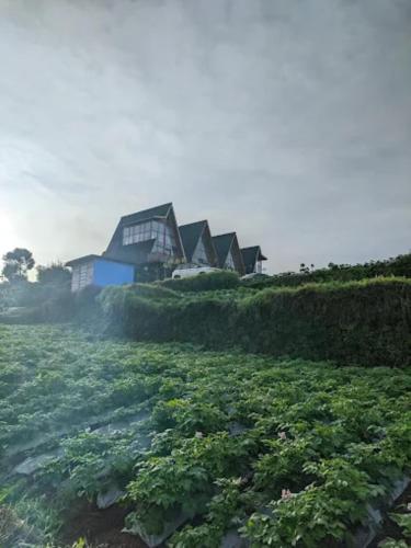 padangsari cabin 2