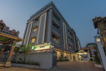 treebo premium pine tree courtyard