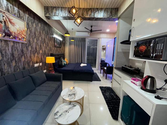 spacious 1bhk for 6 guests king and sofa beds zirakpur chandigarh mohali tricity