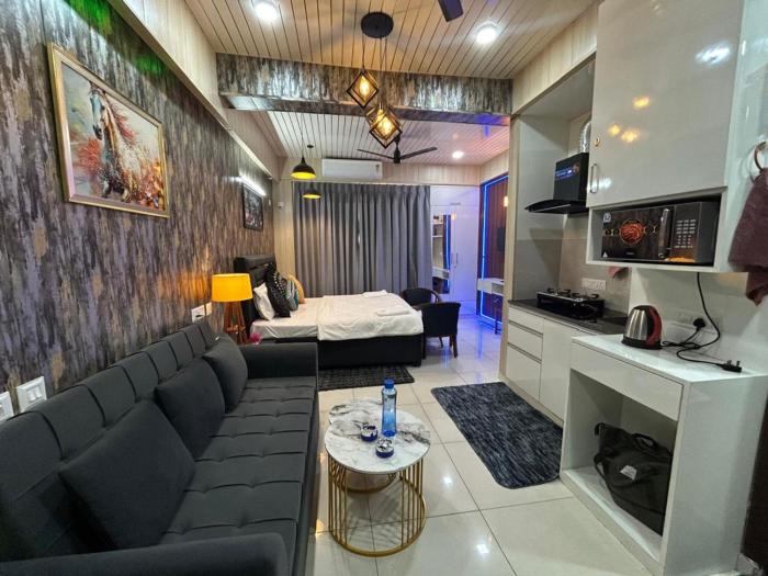 spacious 1bhk for 6 guests king and sofa beds zirakpur chandigarh mohali tricity