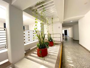 hotel arawak upar