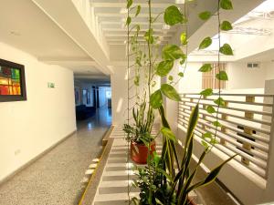hotel arawak upar