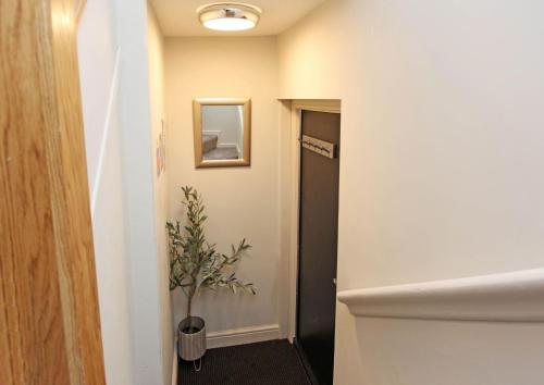 st johns hill apartments