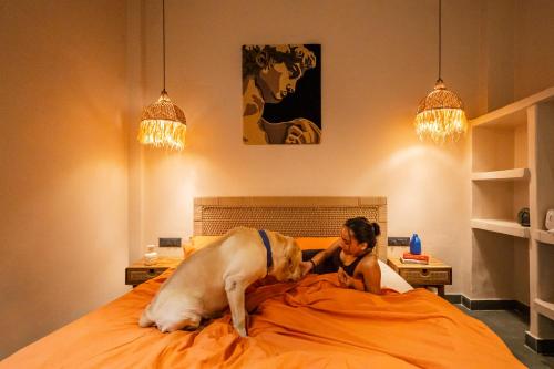 oneoff x assi a boutique homeotel
