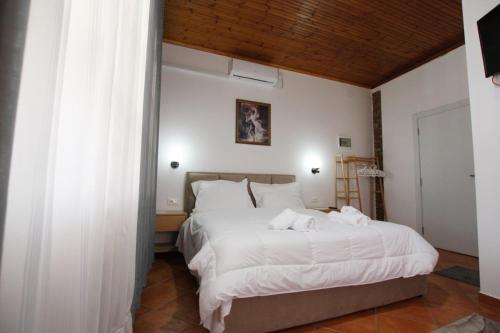 hotel buzi berat