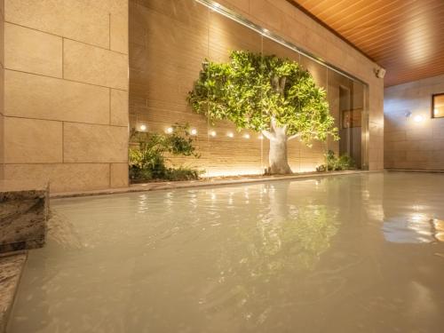 tabino hotel aso kumamoto airport