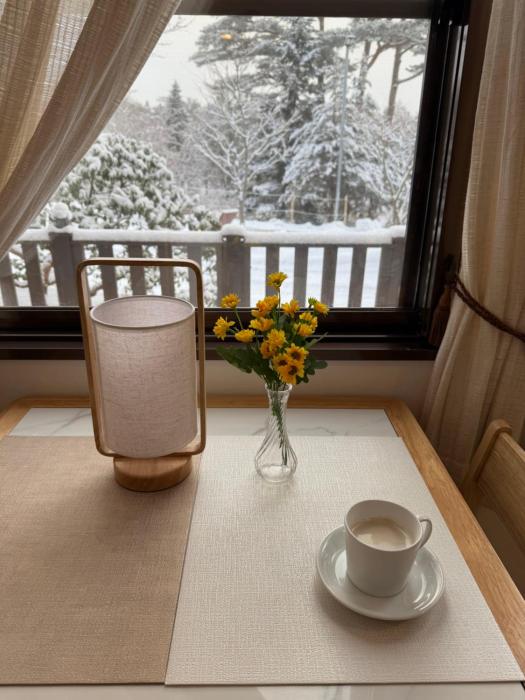 sansui resorts yamanakako